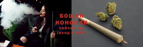 дурь Липки
