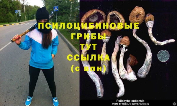 дурь Липки