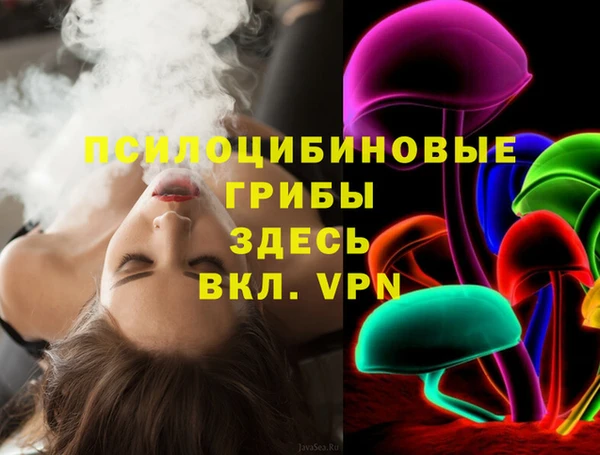 дурь Липки