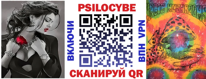 blacksprut как зайти  Находка  Псилоцибиновые грибы Psilocybe 